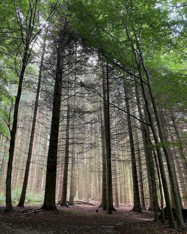 5 приложений для медитации и сна на