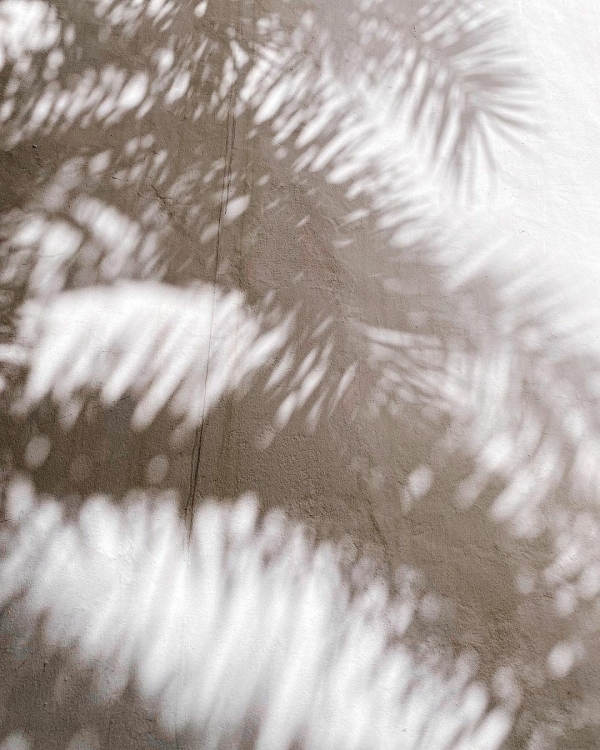 Где провести медовый месяц весной 2022