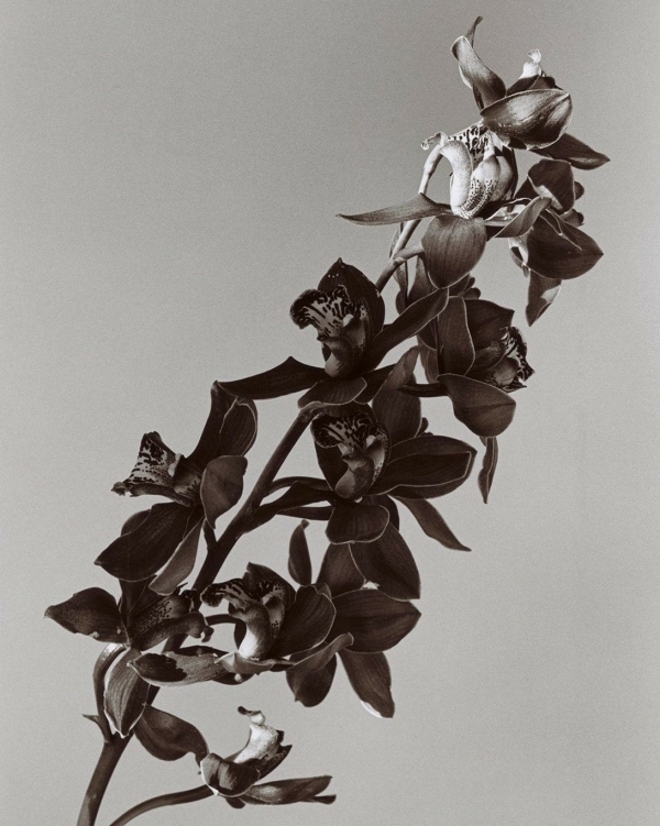 8 чувственных ароматов для дня свадьбы