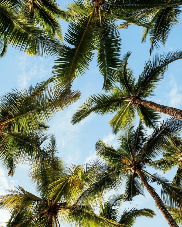 Где провести медовый месяц весной 2022