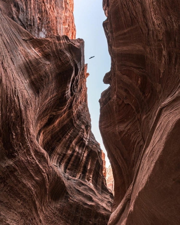 Где провести медовый месяц весной 2022