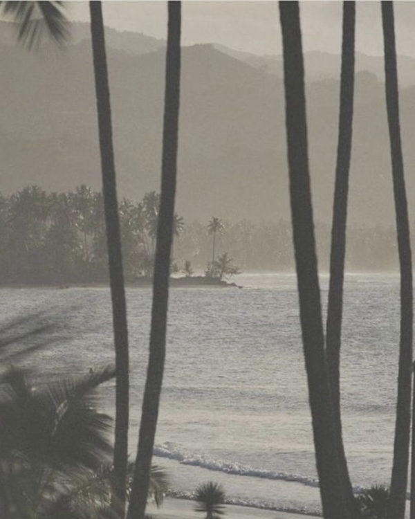 Как планировать зарубежные поездки в 2023 году