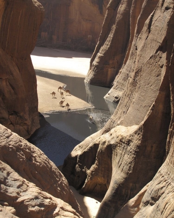 Как планировать зарубежные поездки в 2023 году