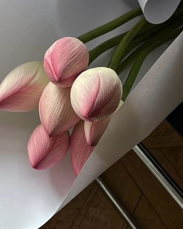 Где покупать самые красивые цветы в Москве?