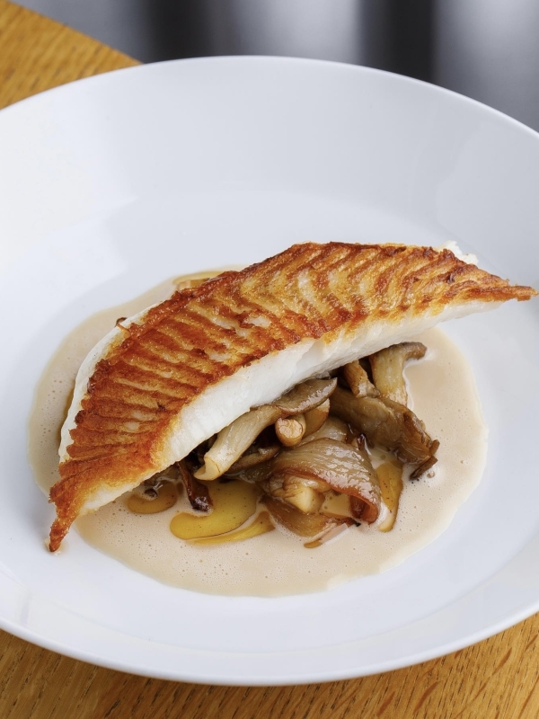 В Питере — есть и любить. Рассказываем