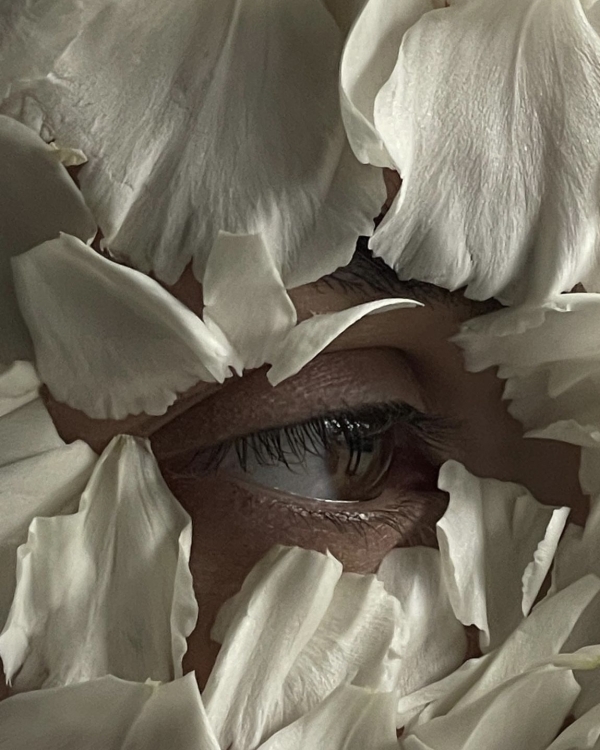 Где покупать самые красивые цветы в Москве?