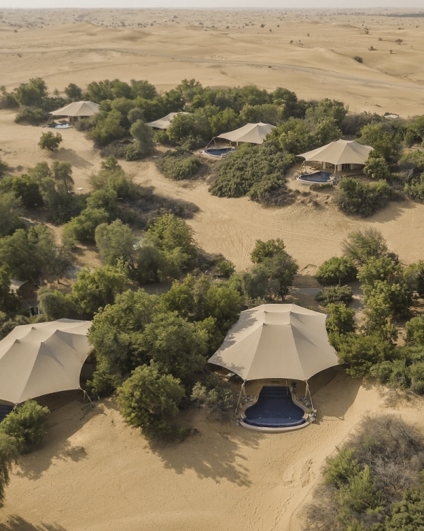 Свадьба среди дюн — не мираж, а реальность.