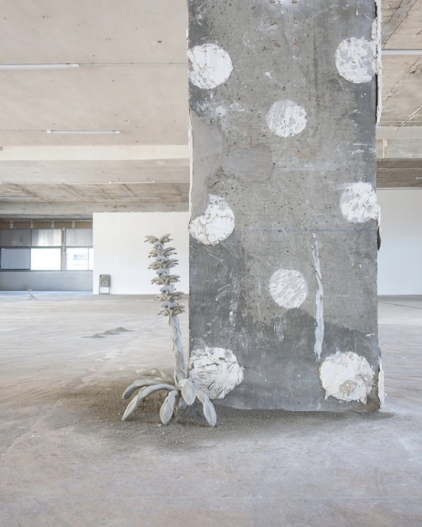 Гайд 2024 «Больше, чем свадьбы»: почему покупать