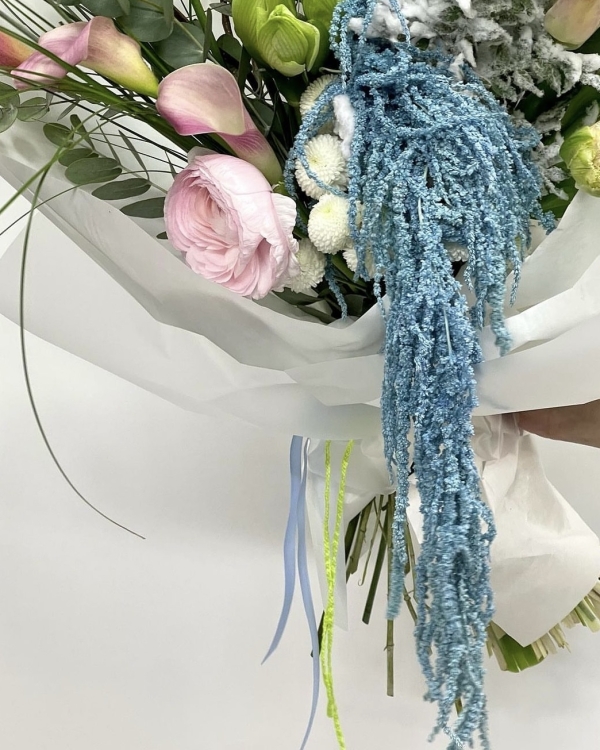 Где покупать самые красивые цветы в Москве?