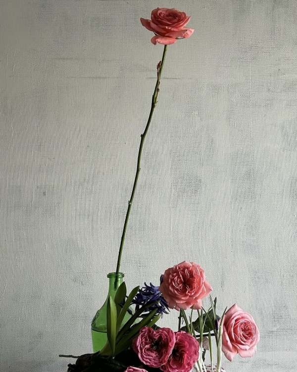 Лучшие друзья девушек бриллианты и не только: