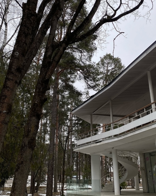 Ситуация — родственники приехали на свадьбу в