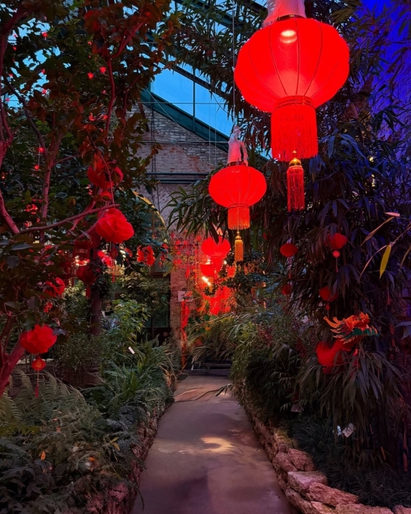 Ситуация — родственники приехали на свадьбу в