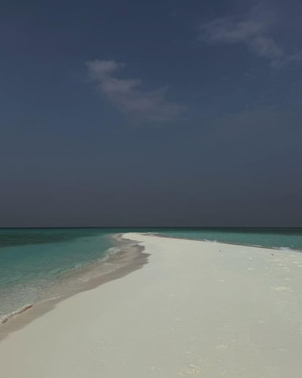 Весна не за горами! Лучшие направления для