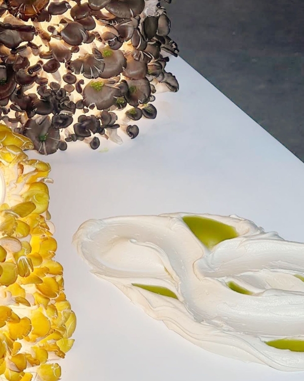 Тренды фуд-дизайна 2025 — московские креаторы делятся