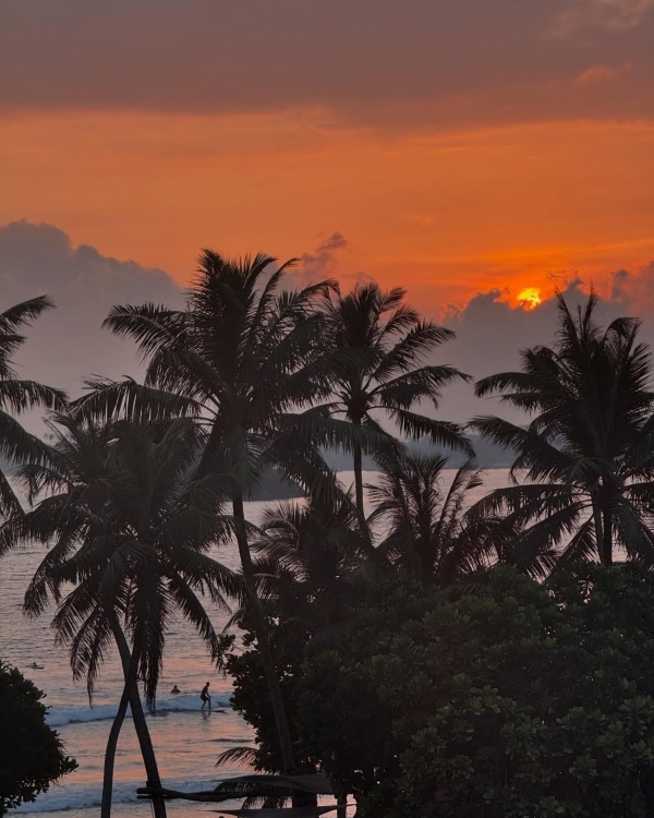 Весна не за горами! Лучшие направления для