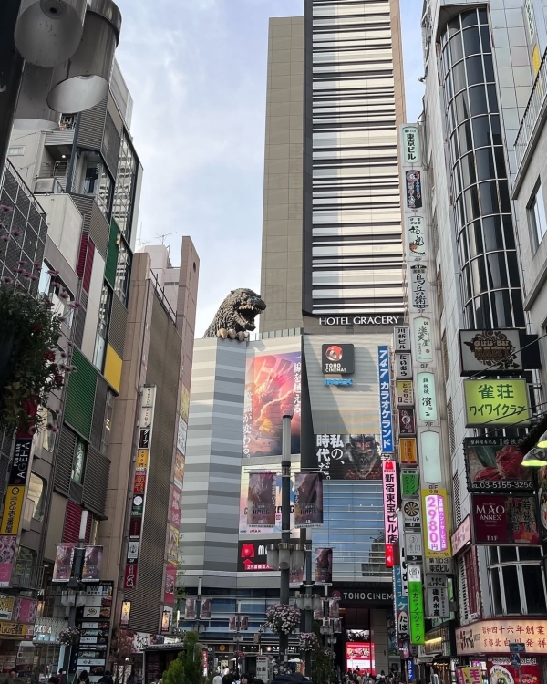 Весна не за горами! Лучшие направления для