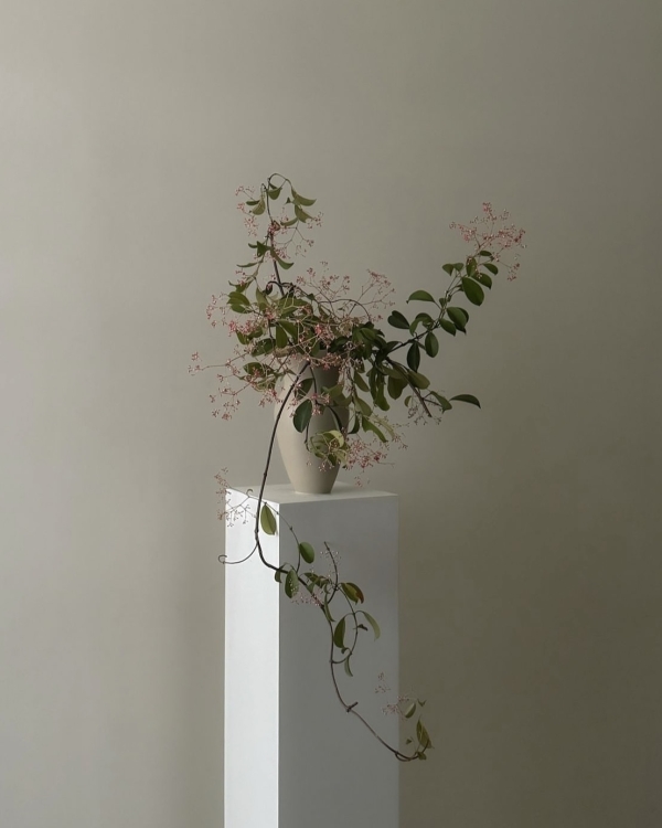 Букет невесты 2025: Spring Edition