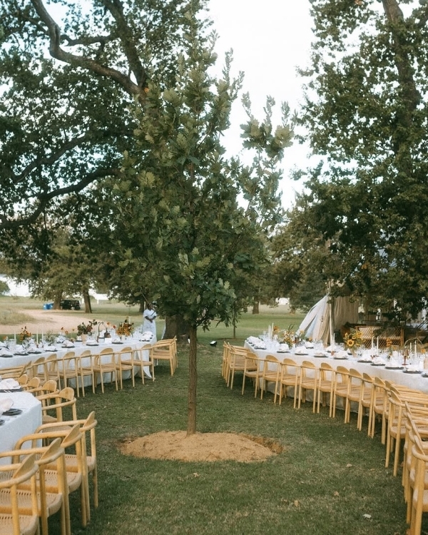 Модные идеи рассадки гостей на свадебном (и