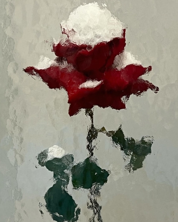 5 креативных студий, которые делают сет-дизайн ужинов