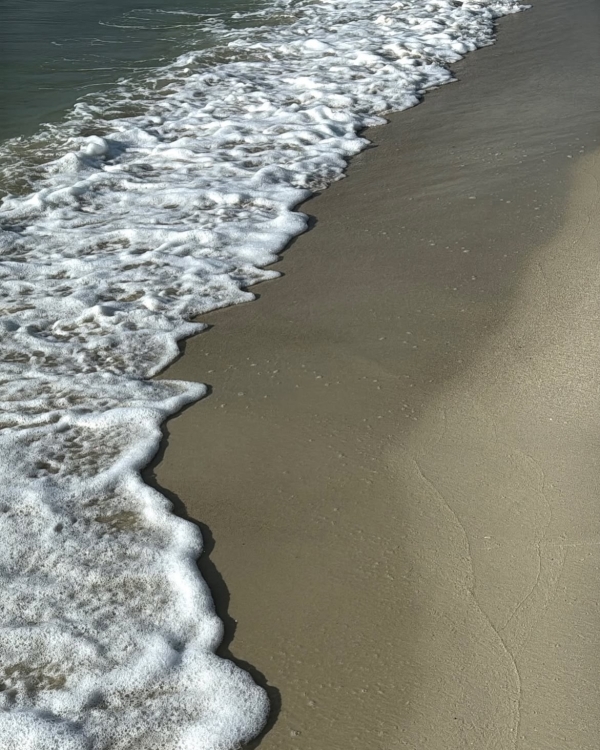 Весна не за горами! Лучшие направления для