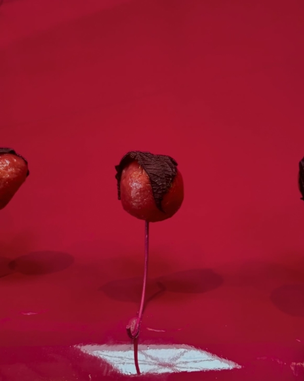 5 креативных студий, которые делают сет-дизайн ужинов