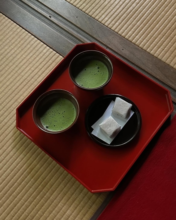 Весна не за горами! Лучшие направления для