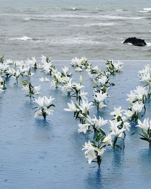После шторма всегда наступает штиль. Рассказываем о