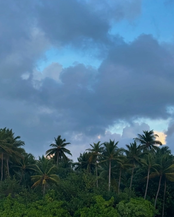 Весна не за горами! Лучшие направления для