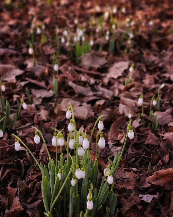 Ситуация — родственники приехали на свадьбу в
