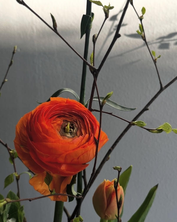 Где искать самые модные букеты в Москве