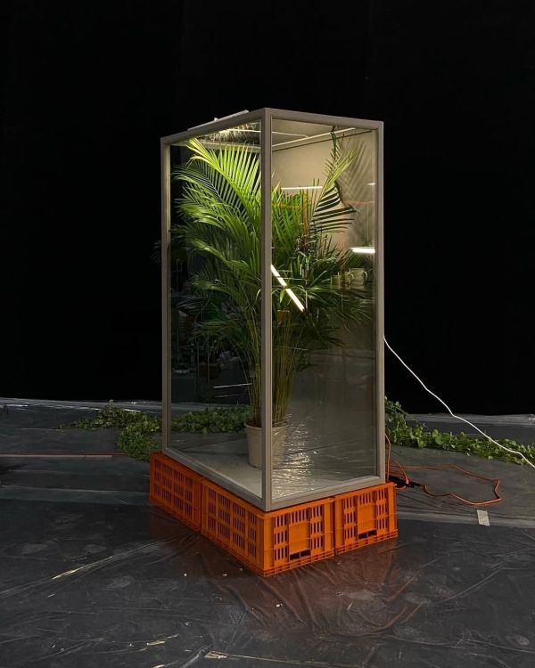 Тренды цветочного декора 2025 — разбираем с