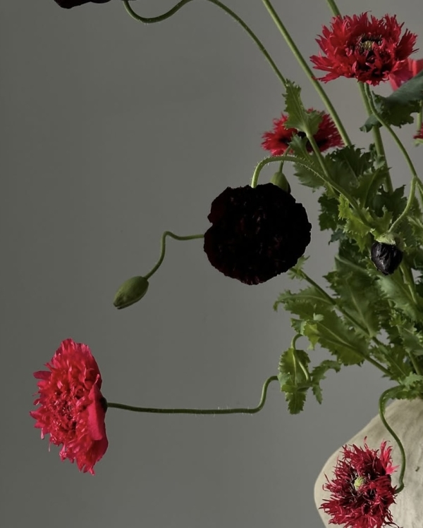 От Vogue до Gucci. Интервью с флористом