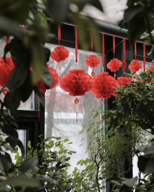 Где праздновать китайский Новый год 2026 в