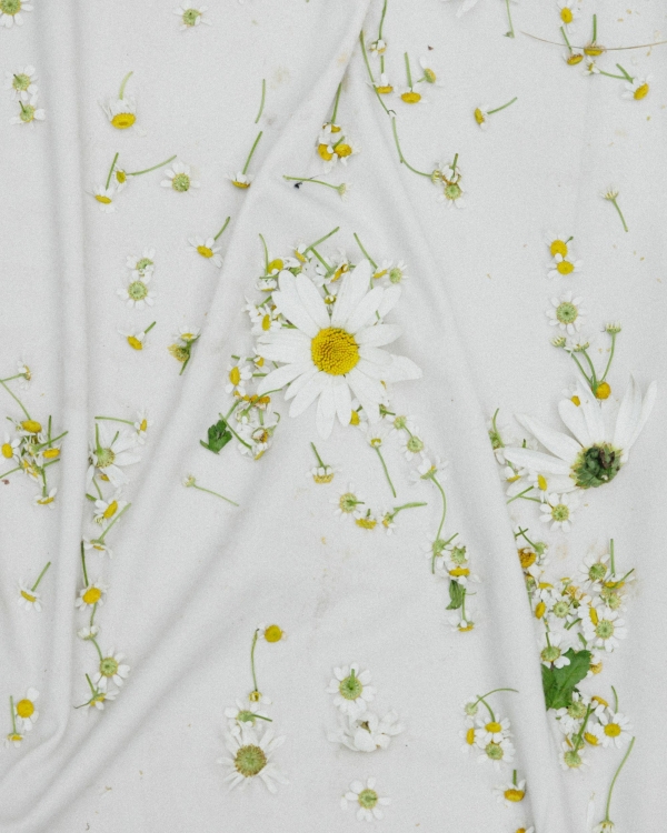 Интервью с невестой о свадьбе, вдохновленной русским