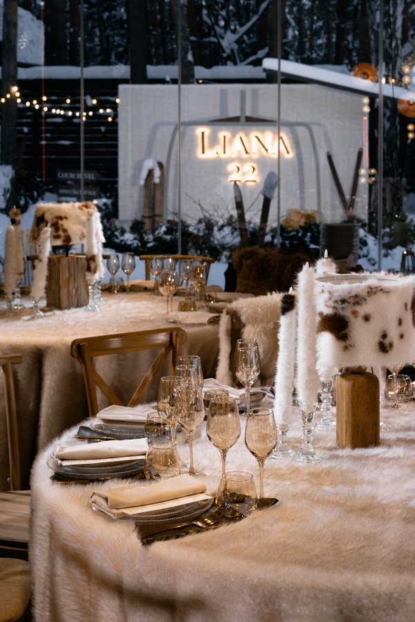 Эстетика après-ski в декоре: ледяной бар и