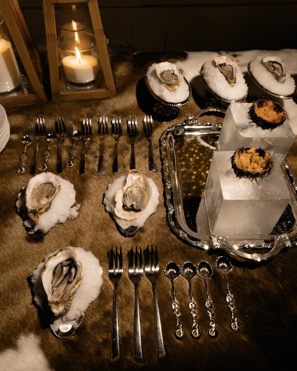 Эстетика après-ski в декоре: ледяной бар и