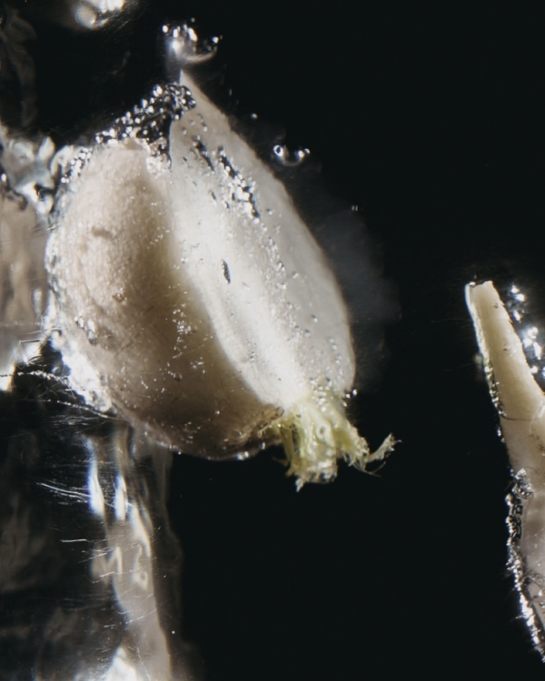 Виниловая вечеринка на «Автомойке» и другие события,