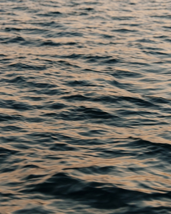 Где устроить свадьбу на пляже в России?