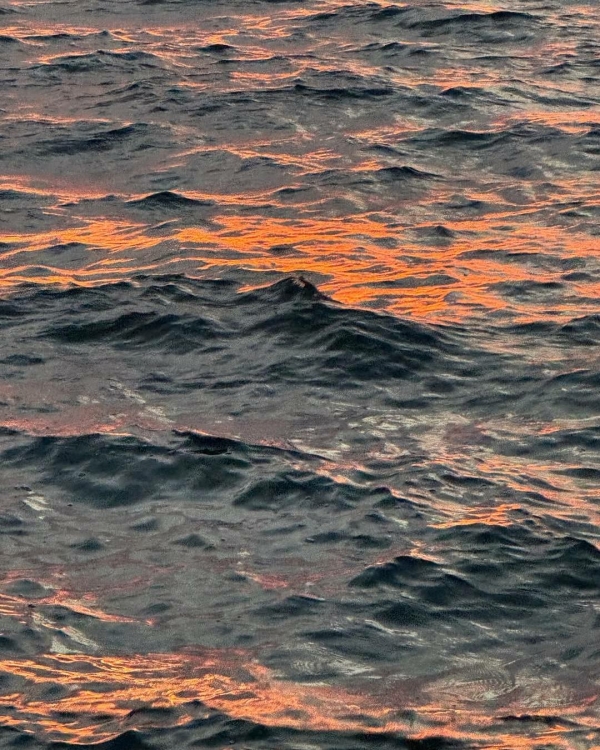 Сезон Рыб: что это значит для каждого