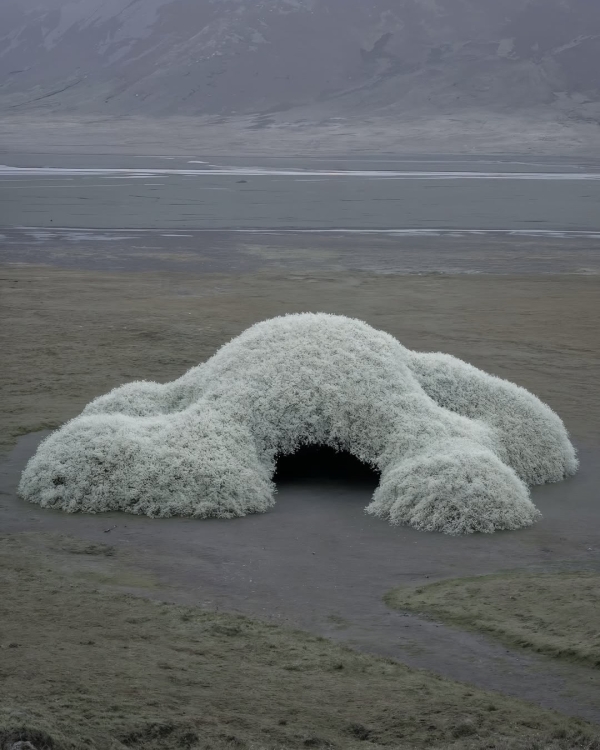 Не просто арка: 7 главных трендов оформления