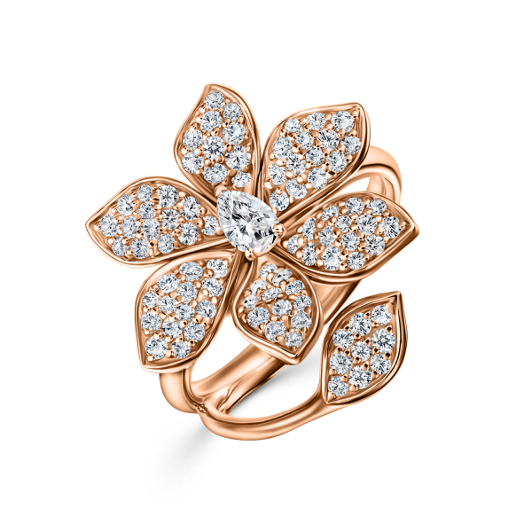 Ювелирные украшения LARDAUX