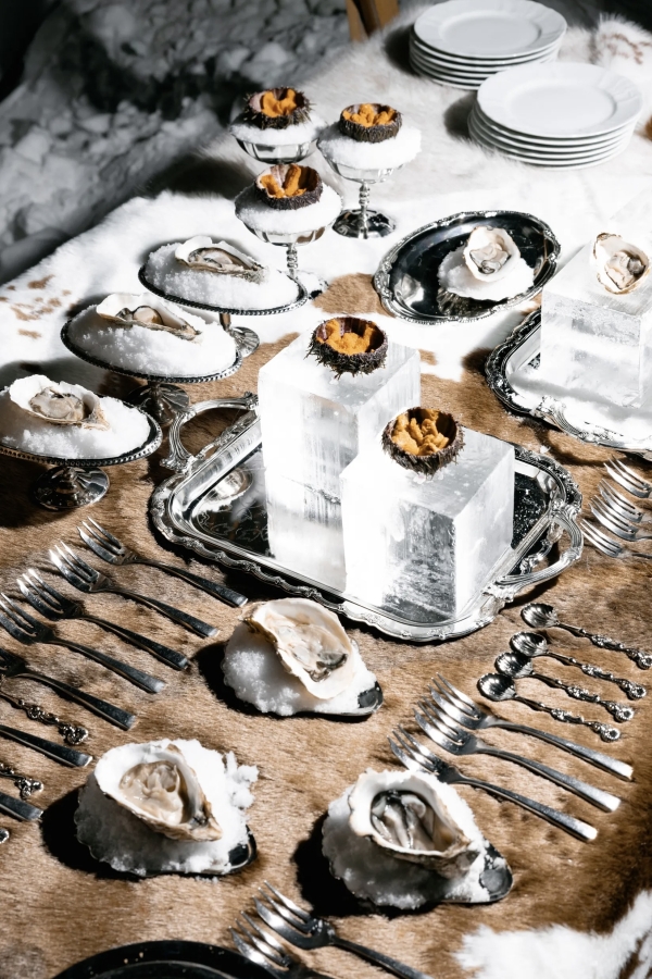 Эстетика après-ski в декоре: ледяной бар и