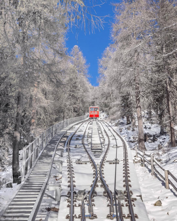 Все о свадьбе Даши Жуковой и Ставроса