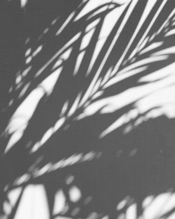 На кого подписаться невесте: модные инстаграмы со