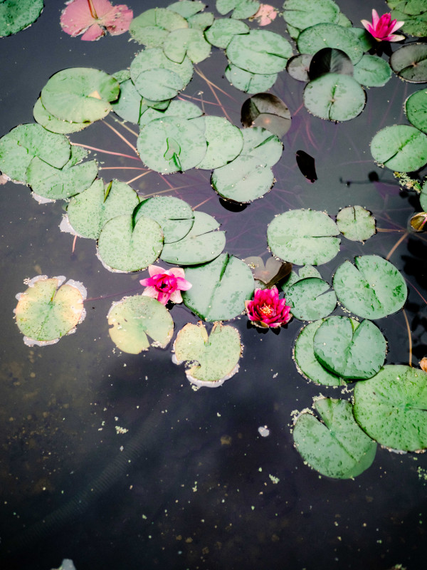 Свадьба в семейном загородном доме