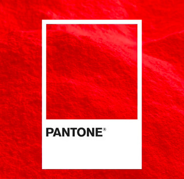 Главные цвета 2020 года: как использовать их