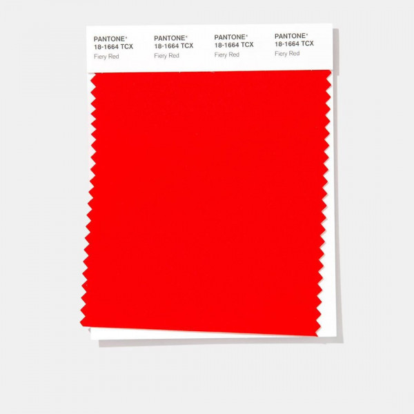 Главные цвета 2020 года: как использовать их