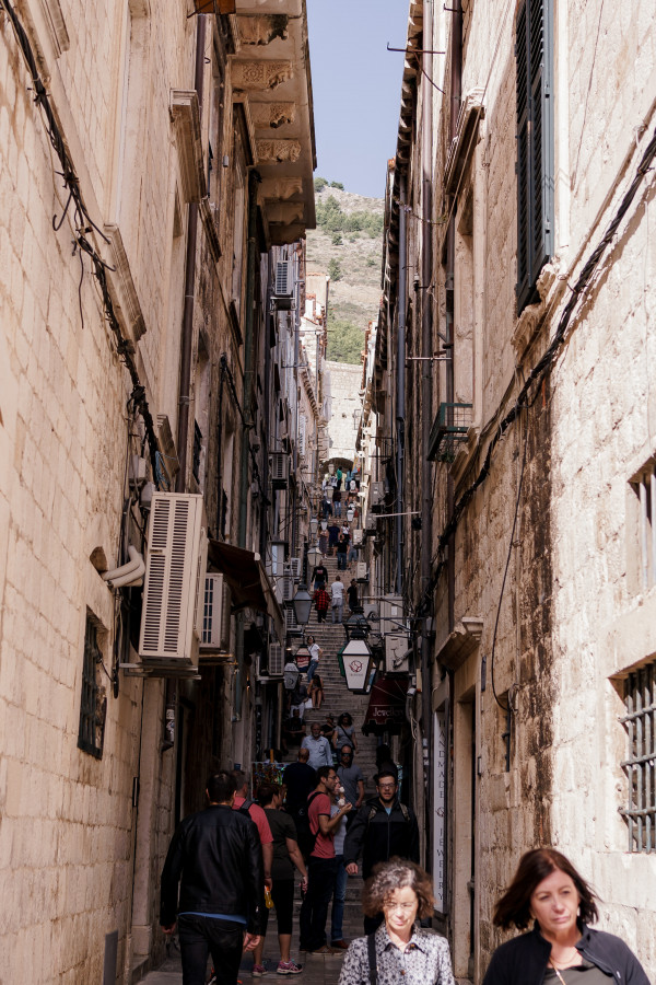 Свадьба-квест по мотивам сериала «Игра престолов»