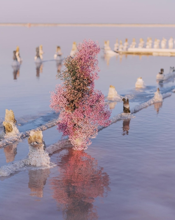 Лучшие свадебные агентства Москвы