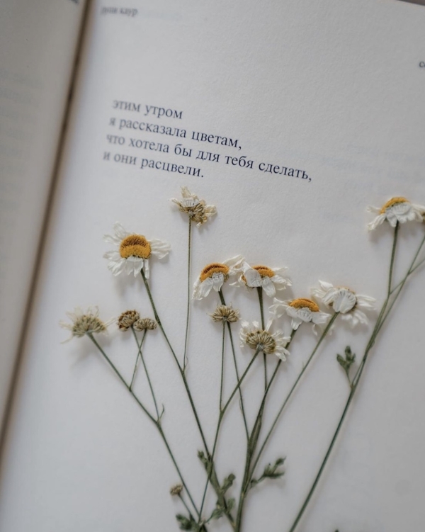 Свадьбы с агентством Cheers: главные вопросы к